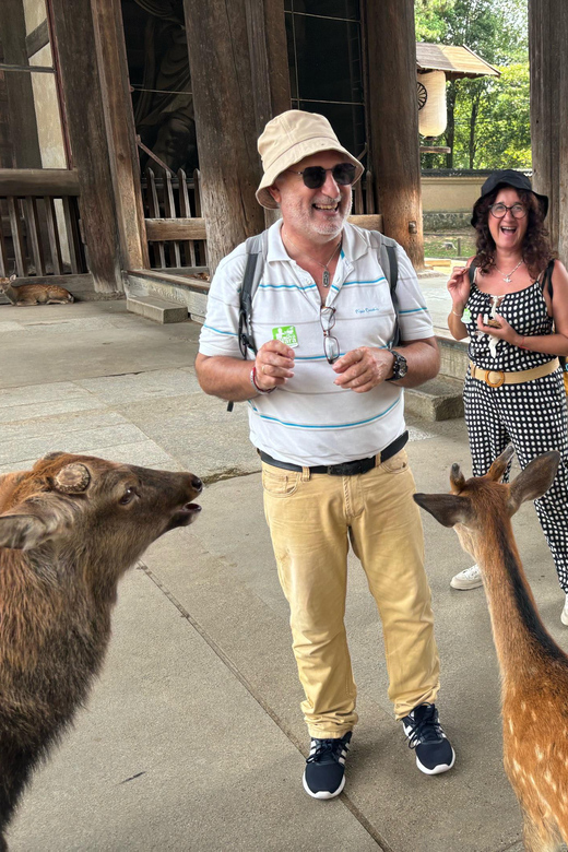 From Kyoto: Nara Guided Morning Tour - Why this short Nara tour works