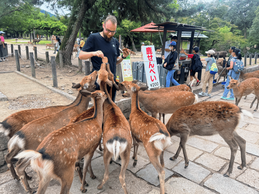 From Kyoto: Nara Guided Morning Tour - Nandaimon Gate and the approach to Todaiji