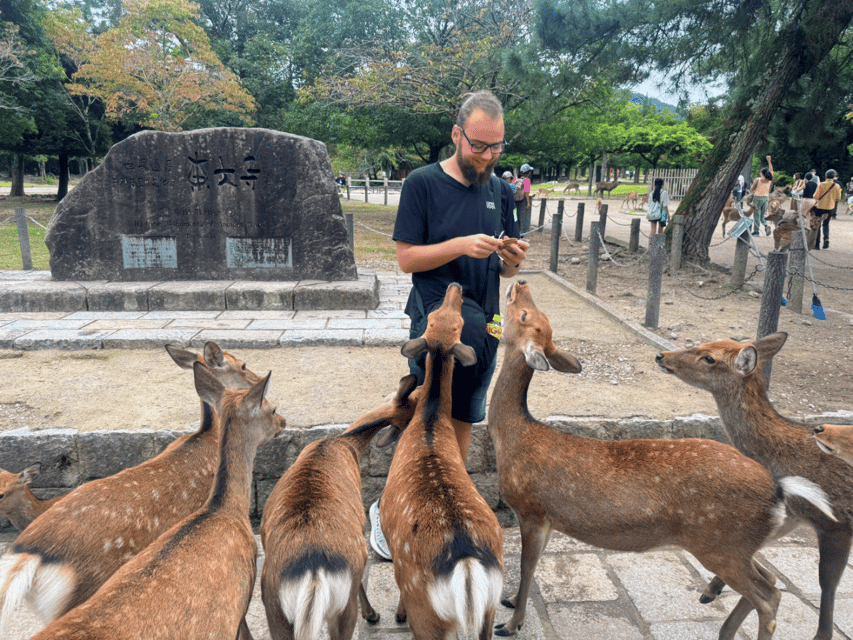 From Kyoto: Nara Guided Morning Tour - The return to Kyoto needs planning