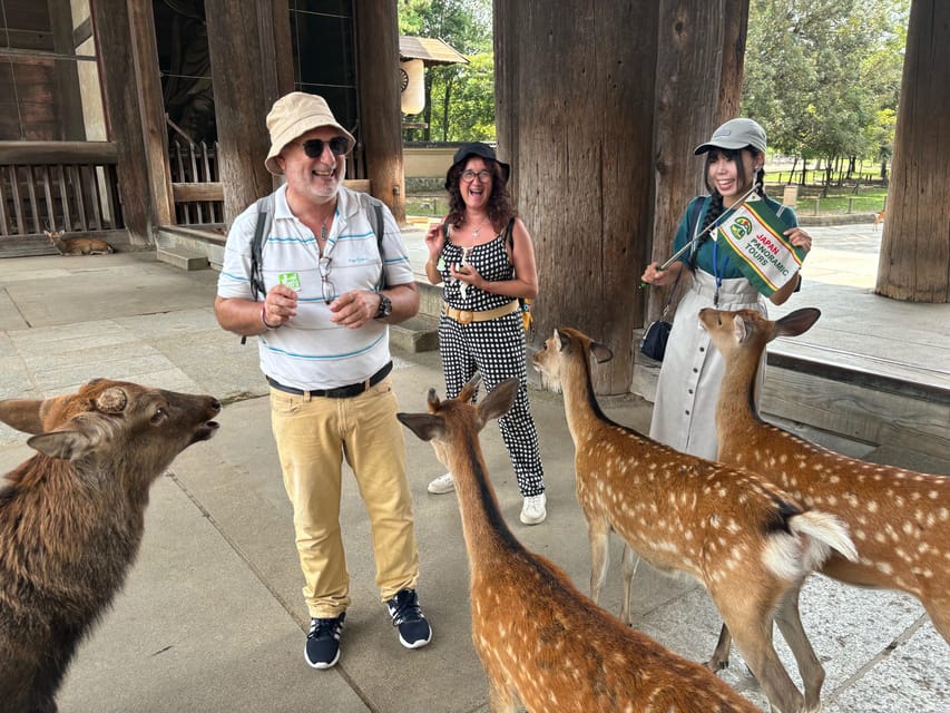 From Kyoto: Nara Guided Morning Tour - Meeting at Kyoto Avanti before 8 AM