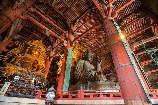 From Kyoto: Nara History Guided Half Day Bus Tour with Lunch - Kasuga Taisha and Its Lantern-Filled Approach