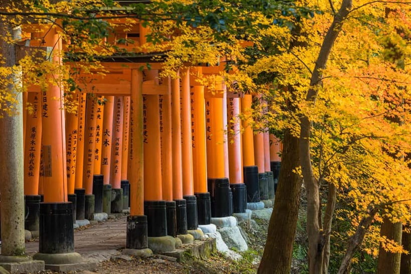 From Kyoto/Osaka: Kyoto Top Highlights 1-Day Guided Bus Tour - Walking, crowds, and seasonal comfort