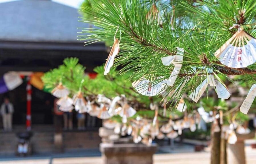 FromOsaka/Kyoto:Hiroshima & Miyajima Private Tour with Lunch - Guide quality and communication