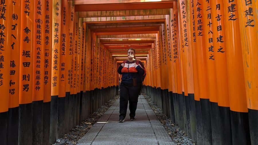 Full-Day Kyoto Walking Tour: Most Iconic Landmarks & Monkeys - Ending at Kinkakuji, Kyoto’s Golden Pavilion