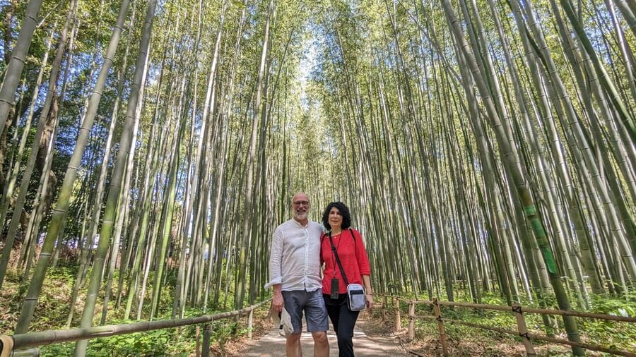 Full-Day Kyoto Walking Tour: Most Iconic Landmarks & Monkeys - Crossing Kyoto by train to Arashiyama