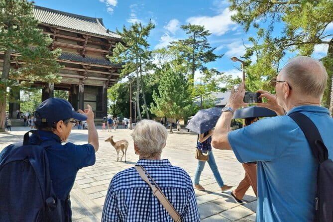Full Day Nara Deer, Temple, Shrine, Activities & Tea Ceremony - Kikuichi and the story of Japanese knives
