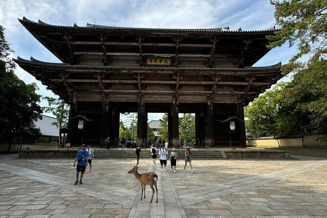 Full Day Nara Deer, Temple, Shrine, Activities & Tea Ceremony - Gangoji and the demon story