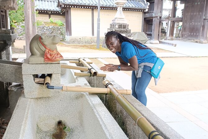 Full-Day Sightseeing to Kyoto Highlights - Kyoto Station to Arashiyama Bamboo Forest