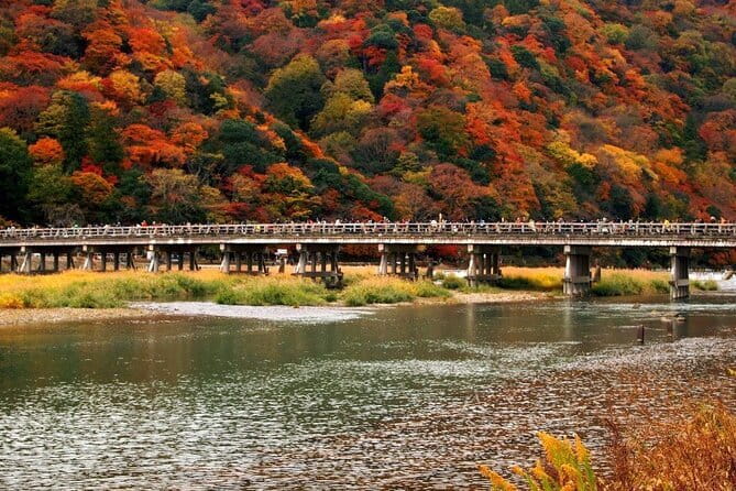 Full Day Tour of Kyoto with Private Transportation - Guides who shape the day