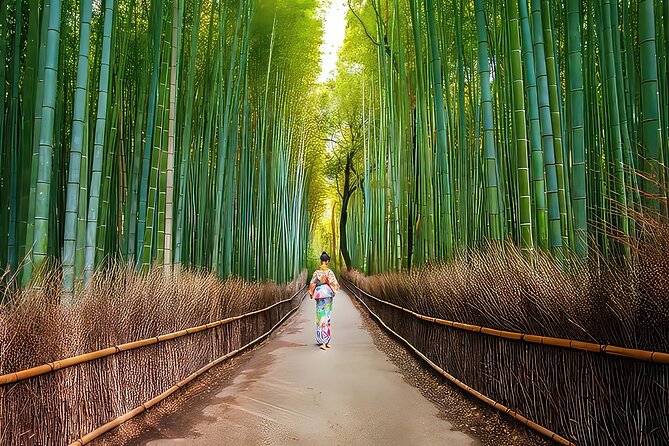 Fushimi Inari - Arashiyama: Torii Gates, Bamboo, Monkeys & Secret - Bamboo Grove, where timing matters