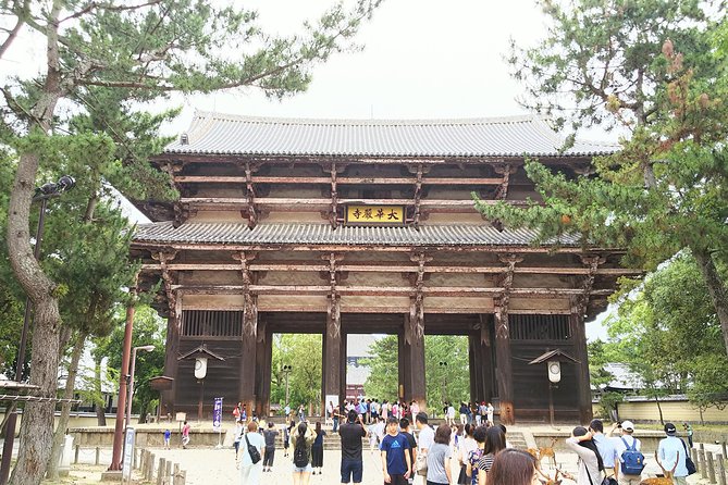 Fushimi Inari & Nara Highlights Walking Tour - Is $106.10 a fair price?