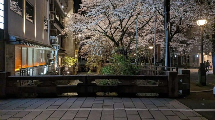 Gion Night Walk:Discover Geisha Culture in Kyoto - Reading Gion’s old houses and quiet lanes