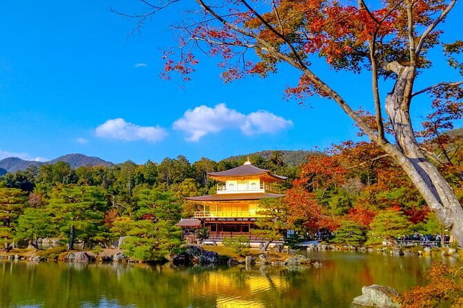 Guided Kyoto City Cherry Blossom One Day Private Tour - Kiyomizu-dera: Kyoto Views and Pure Water