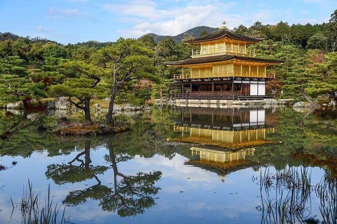 Guided Kyoto City Cherry Blossom One Day Private Tour - Kinkakuji: The Golden Pavilion in One Hour