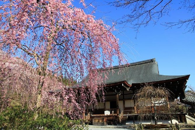 Half Day Kyoto Sagano Bamboo Grove & Arashiyama Walking Tour - Why this Arashiyama route works