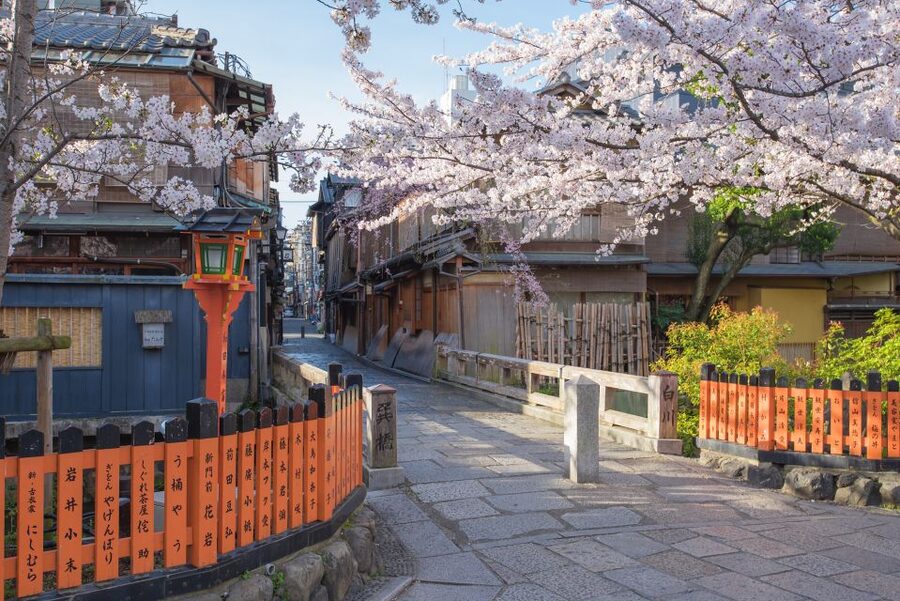Higashiyama | Kyoto: Sakura Season Private Rickshaw Tour - Why Higashiyama works so well in cherry-blossom season