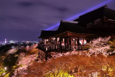 Higashiyama | Kyoto: Sakura Season Private Rickshaw Tour