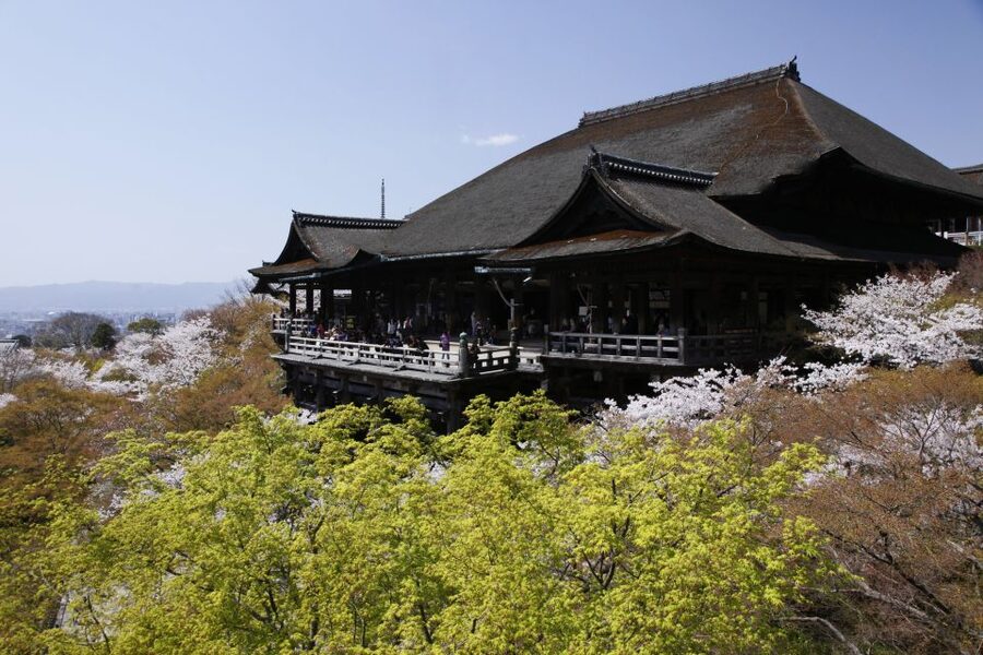 Higashiyama | Kyoto: Sakura Season Private Rickshaw Tour - Photo stops that give you time to look