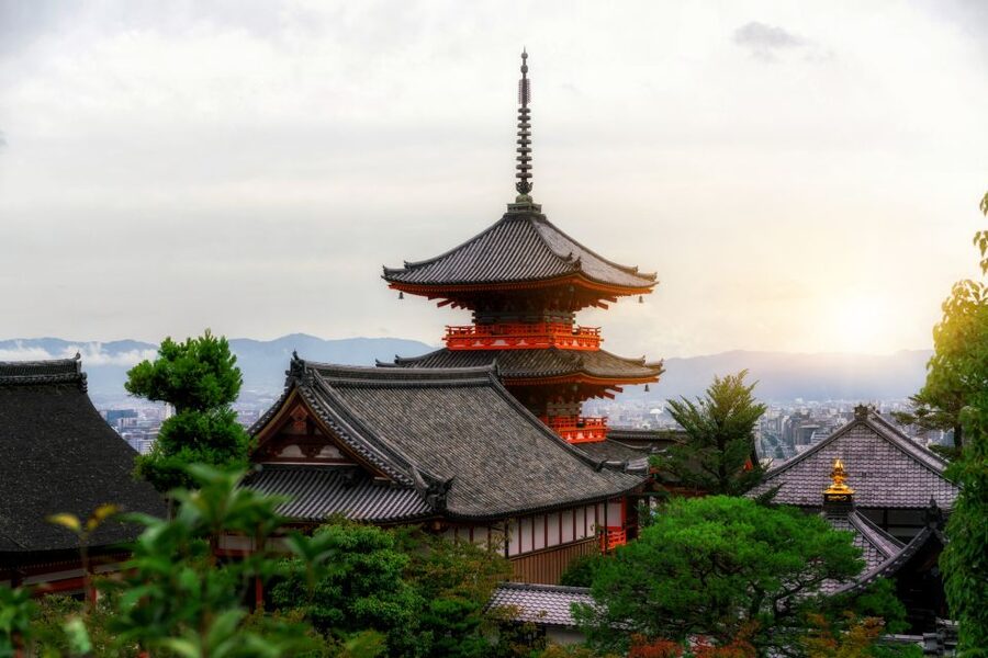 Higashiyama | Kyoto: Sakura Season Private Rickshaw Tour - Families, seating, and physical comfort