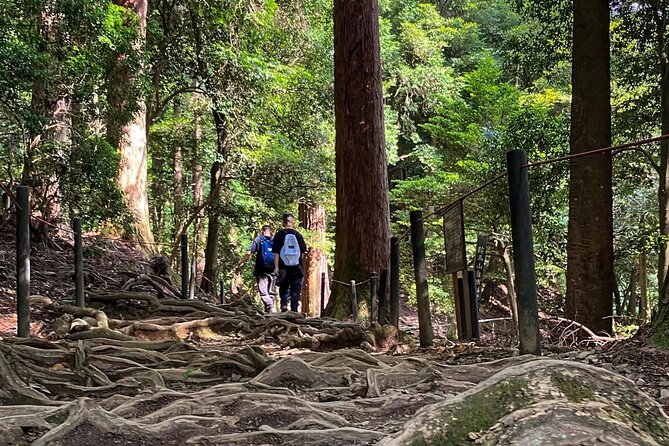 Hike and explore the Kurama and Kibune ancient Paths - Meeting near Kyoto Tower at 9:30 a.m.
