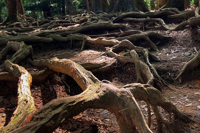 Hike and explore the Kurama and Kibune ancient Paths - Who will enjoy this experience most?