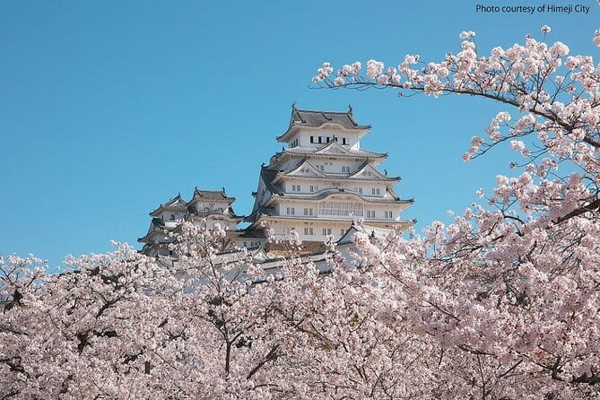 Himeji Castle and Akashi Kaikyo Bridge Walking Tour from Kyoto - Who should book this day trip?