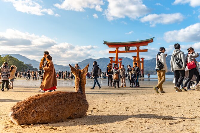 Hiroshima and Miyajima Full-Day Tour from Kyoto by Bullet Train - Why this Kyoto day trip works