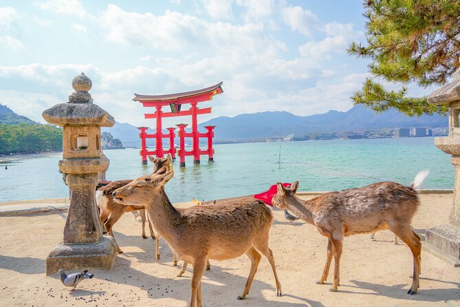 Hiroshima and Miyajima Full-Day Tour from Kyoto by Bullet Train - Hiroshima Station and the route to Peace Memorial Park