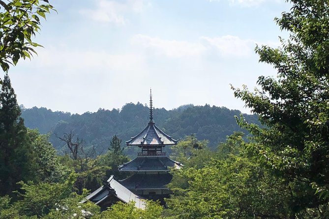 Historic and Natural Guided Hike in Yoshino - What the private format changes