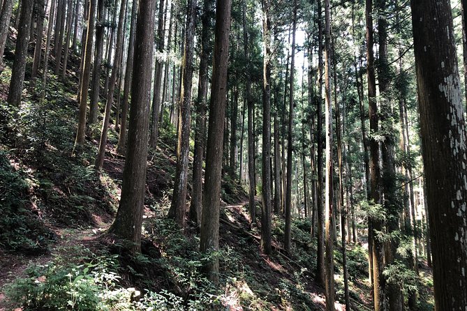Historic and Natural Guided Hike in Yoshino - What is not included in the $136.82 price