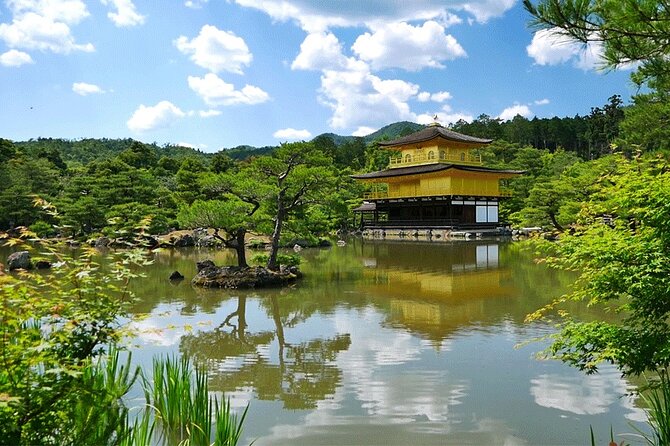 Historical Kyoto E-Bike Tour - Kitano Tenmangu and the plum trees of learning
