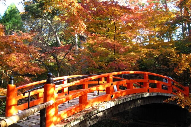 Historical Kyoto E-Bike Tour - The guides are a major part of the value
