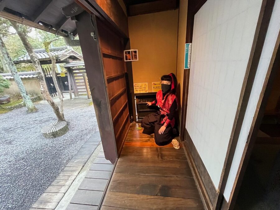 Iga: Full-Day Private and Unique Guided Ninja Experience - Iga-ryu techniques, weapons, and the possible show