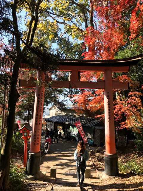 Inside of Fushimi Inari - exploring and lunch with locals - Who will enjoy this experience most