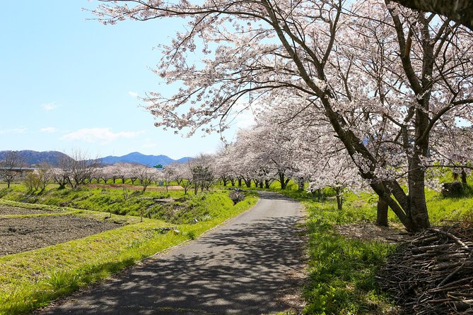 Japan's Rural Life & Nature: Private Half Day Cycling Near Kyoto - Why Maibara makes a smart escape from Kyoto