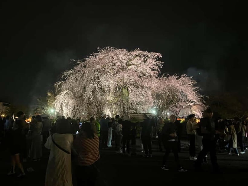 Kioto: Gion Tour, recorrido a pie (Español/Castellano) - Gion Higashi and the district’s changing character