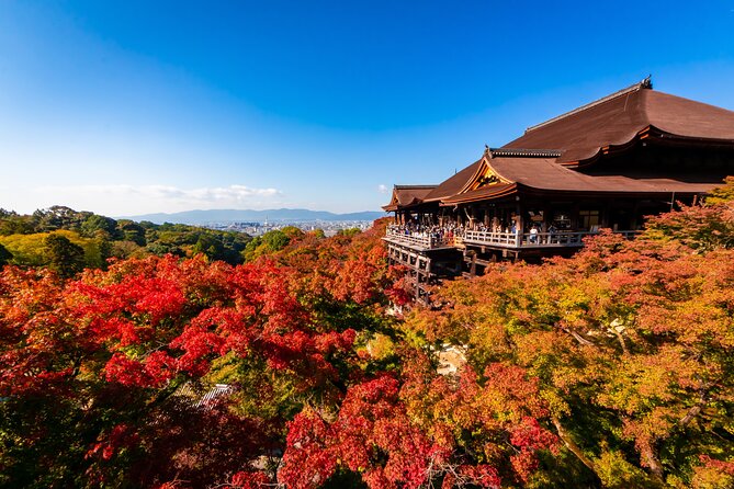 Kiyomizu Temple and Backstreets of Gion, Half Day Group Tour - Key points at a glance