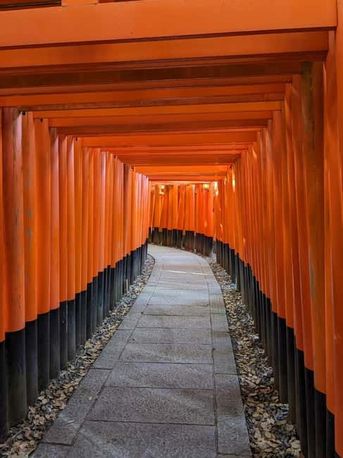 Kyoto: 1.5-Hour Guided Tour of Fushimi Inari Shrine - Who will enjoy this Fushimi Inari walk