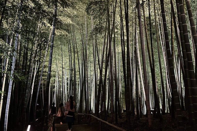 Kyoto 1 Day Golden Route Bus Tour - Lunch and the value of a fixed midday break