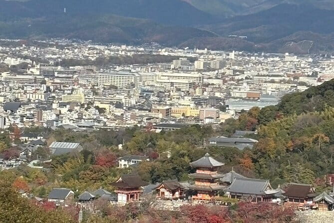 Kyoto 1 Day Suntory Yamazaki Distillery Tour and Asahi Art Museum - Guides, group size, and the feel of the day