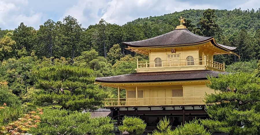 Kyoto: 100% Private Custom Walking Tour (4/8 Hrs) - Key points to know before booking