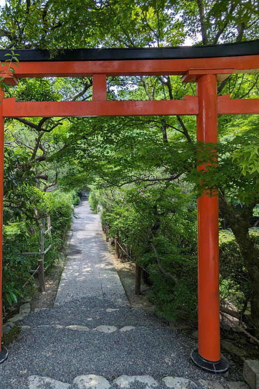 Kyoto: 100% Private Custom Walking Tour (4/8 Hrs) - Four hours or eight hours in Kyoto