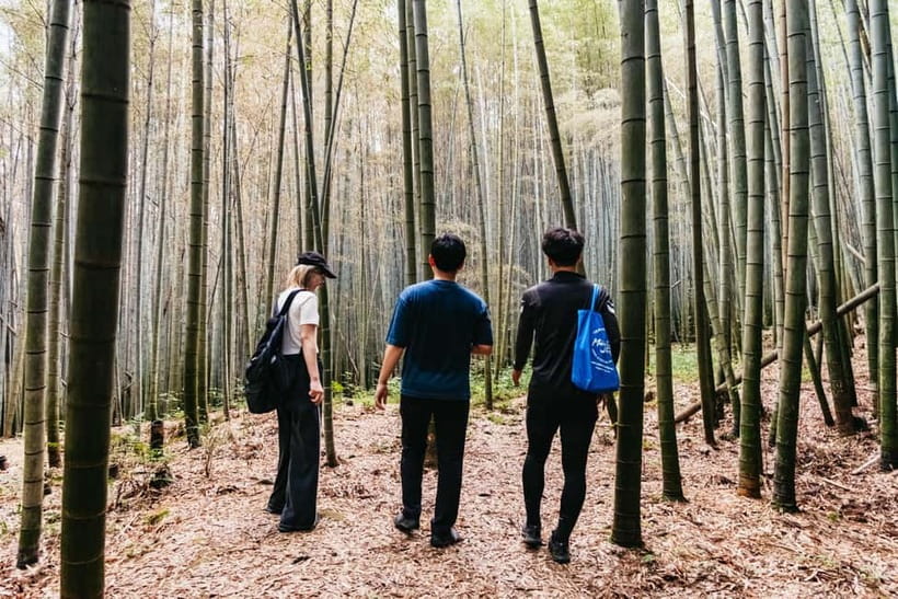 Kyoto: 3-Hour Fushimi Inari Shrine Hidden Hiking Tour - Coming down through quieter woodland