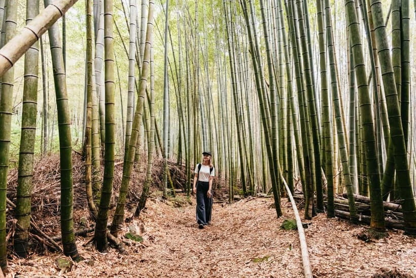 Kyoto: 3-Hour Fushimi Inari Shrine Hidden Hiking Tour - From Tofukuji Station to the first quiet shrines
