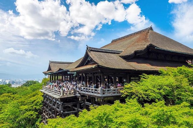 Kyoto 4hr Private Tour with Government-Licensed Guide - Step into Tokugawa history at Nijo Castle