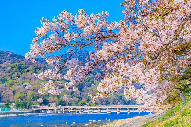Kyoto 6hr Instagram Highlights Private Tour with Licensed Guide - Yasaka Pagoda, Yasaka Shrine, and the lanes of Gion