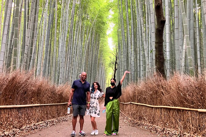 Kyoto 8hr Private Tour with Government-Licensed Guide - The eastern temple route: Ginkakuji, Nanzenji, and Eikando