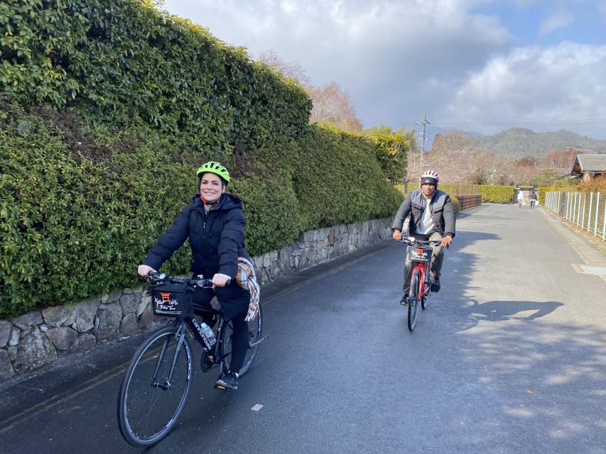 Kyoto: Afternoon Bamboo Forest and Monkey Park Bike Tour - Is $106 a fair price?