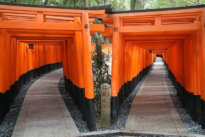 Kyoto Afternoon Tour from Kyoto or Osaka - Who should book this tour?