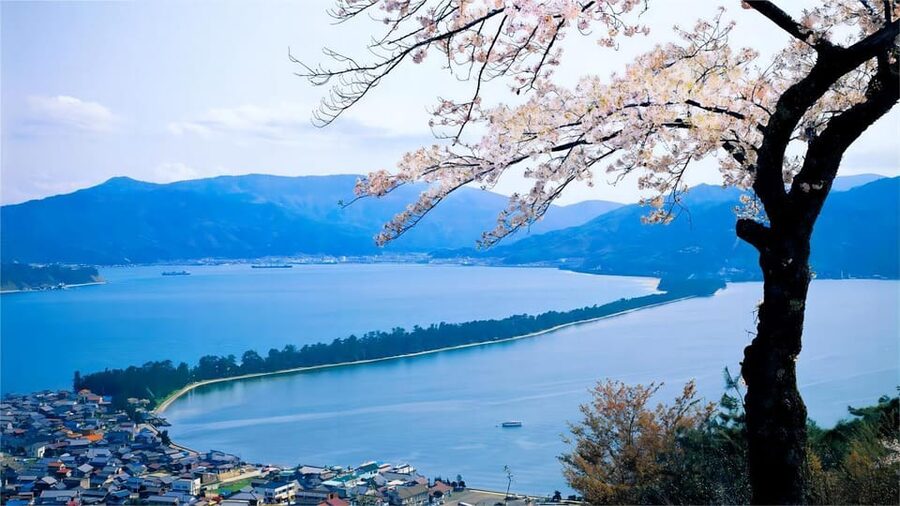 Kyoto: Amanohashidate Ine Funaya Tour - Starting from Osaka or Kyoto